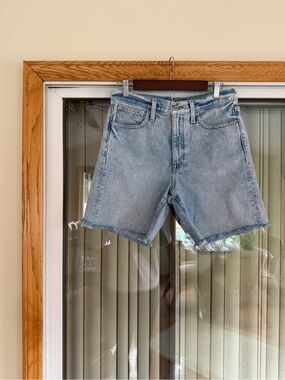 J. Crew Light Blue Denim Jean Shorts with Frayed Hem